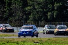 DSC2401